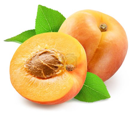 Photo for Ripe apricot with leaves and apricot half isolated on white background. File contains clipping path. - Royalty Free Image