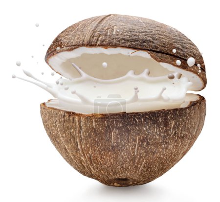 Téléchargez les photos : Pulvérisation d'éclaboussures de lait de coco à partir de fruits de coco craquelés. Le fichier contient le chemin de coupe. - en image libre de droit