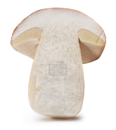 Porcini mushroom slice or cross cut of boletus on white background. File contains clipping path.