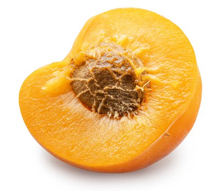 Ripe apricot half with stone on white background. File contains clipping path.