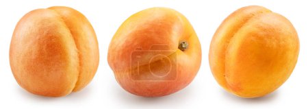Set of ripe apricots on white background. File contains clipping path.