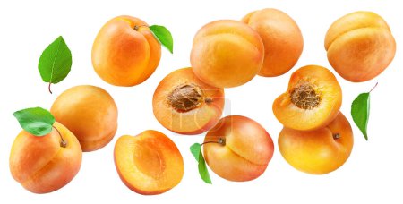 Ripe apricots and apricot halves flying in air on white background. File contains clipping path.