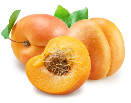 Ripe apricots and apricot half isolated on white background. File contains clipping path.