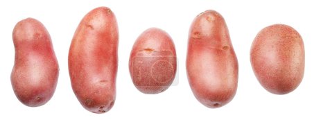 Set of red-skinned potatos on white background. File contains clipping path.
