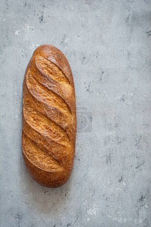 Photo for Freshly baked loaf on a light gray (blue) background. Traditional fresh bread in the form of a long roll. - Royalty Free Image