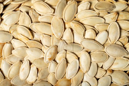 Photo for Pumpkin seeds. Sun-dried pumpkin seeds closeup food background. Top view. texture. copy space banner - Royalty Free Image