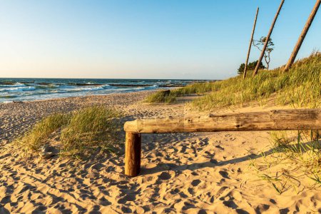 Téléchargez les photos : Entrée d'une belle plage sur la mer Baltique au coucher du soleil. Balustrade en bois, dunes, herbe et pins. - en image libre de droit