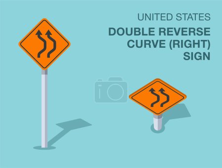 Traffic regulation rules. Isolated United States "double reverse curve right" road sign. Front and top view. Flat vector illustration template.