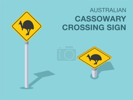 Traffic regulation rules. Isolated Australian "cassowary crossing" road sign. Front and top view. Flat vector illustration template.