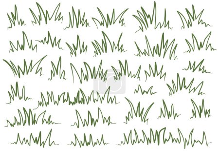 grünes Gras. Doodle Gras Illustration. Graslinienkunst. Grasskizze Illustration. Satz von handgemähtem Gras.