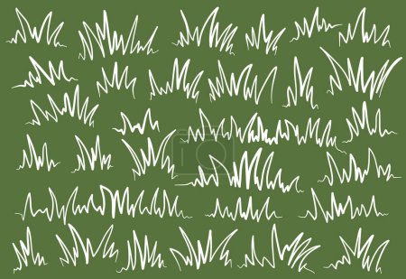 hierba verde. ilustración de hierba garabato. Lineal de hierba. esbozo de hierba ilustración. conjunto de hierba hecha a mano.