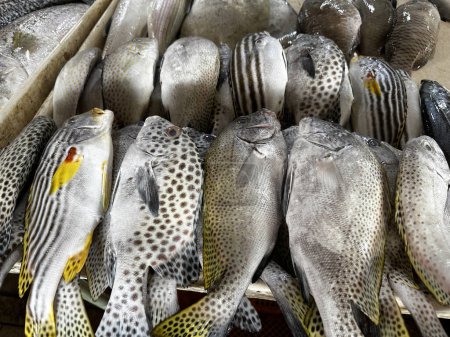 Foto de Variedad de peces marinos vendidos en el mercado de pescado húmedo Tawau Sabah por la mañana - Imagen libre de derechos