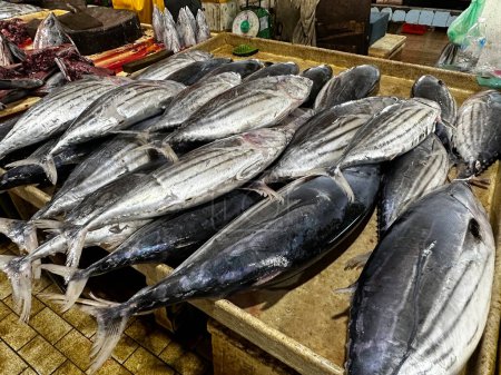Foto de Variedad de peces marinos vendidos en el mercado de pescado húmedo Tawau Sabah por la mañana - Imagen libre de derechos
