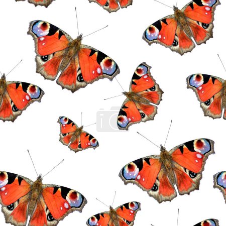 Photo for Peacock butterfly watercolor realistic illustration seamless pattern. Botanical art painting isolated on white. Can be used for prints, wrapping and textile design, packaging, paper, wallpaper. - Royalty Free Image