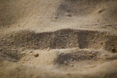 Téléchargez les photos : Sand on the beach in a sunny day. Selective focus. - en image libre de droit