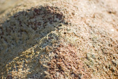 Téléchargez les photos : Beige stone surface close up. - en image libre de droit