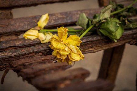 Photo for Withered flowers lying on a rusty bench - Royalty Free Image
