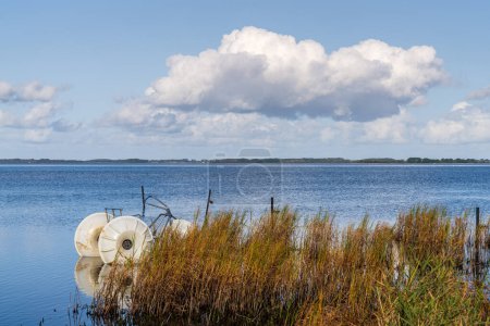 Photo for Breesen, Mecklenburg-Western Pomerania, Germany - October 09, 2020: The Kubitzer Bodden coast with a water bycicle in the reeds - Royalty Free Image