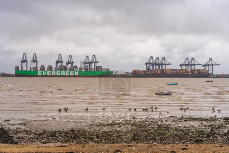 Photo for Felixstowe, Suffolk, England, UK - November 16, 2022: Container freighters in the harbour - Royalty Free Image