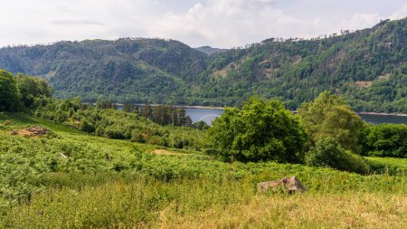Landscape in the Lake District near Thirlmere, Cumbria, England, UK