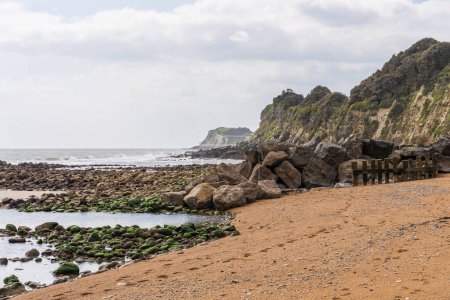 Die Kanalküste bei Steephill Cove Beach in der Nähe von Castle Cove, Isle of Wight, England, Großbritannien