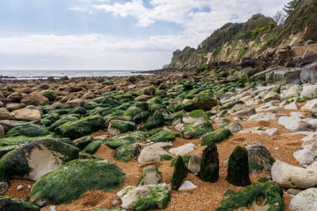 La côte du chenal à Steephill Cove Beach près de Castle Cove, île de Wight, Angleterre, Royaume-Uni