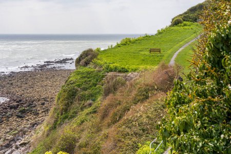 A bench overlooking the Channel coast near Castle Cove on the Isle of Wight, England, UK