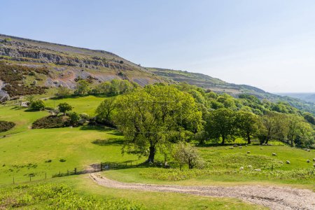 Landschaft bei Castell Dinas Bran, in der Nähe von Llangollen in Denbighshire, Clwyd, Wales, Großbritannien