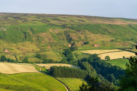 Landscape near Great Broughton, North Yorkshire, England, UK