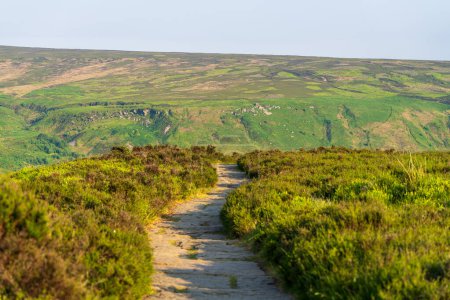 Le sentier de randonnée vers les Wainstones près de Great Broughton, North Yorkshire, Angleterre, Royaume-Uni