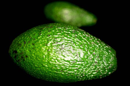 Photo for Two dark green ripe organic avocados, macro, isolated on black white background. - Royalty Free Image