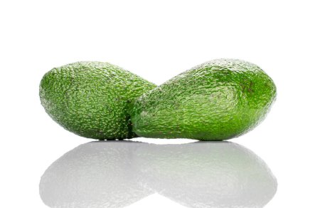 Photo for Two whole oval dark green ripe organic diet avocados lying on top of each other on a white background. - Royalty Free Image