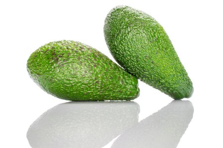 Photo for Two whole oval dark green ripe organic diet avocados lying on top of each other on a white background. - Royalty Free Image