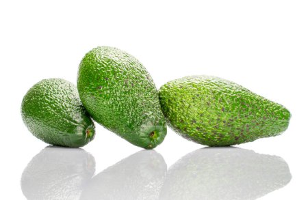 Photo for Three dark green ripe organic avocados, macro, isolated on white background. - Royalty Free Image