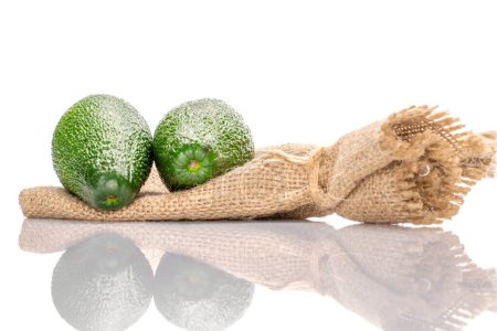 Photo for Two whole oval dark green ripe organic, avocados, lying all nearby, on a small jute bag, on a white background. - Royalty Free Image