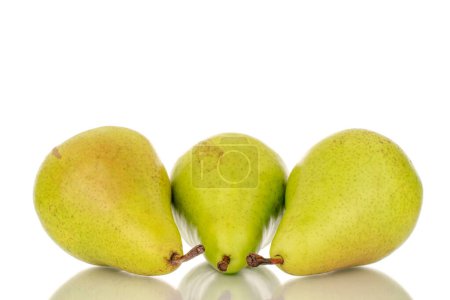Photo for Three whole sweet juicy pears, close-up, on a white background. - Royalty Free Image