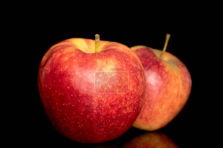 Photo for Two ripe red apples, macro, isolated on black background. - Royalty Free Image