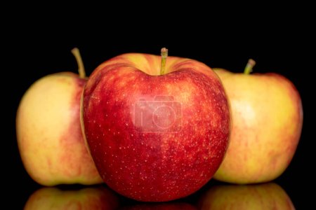 Foto de Tres manzanas rojas maduras, macro, aisladas sobre fondo negro. - Imagen libre de derechos