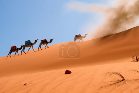 Photo for A caravan of camels is going through the desert. - Royalty Free Image