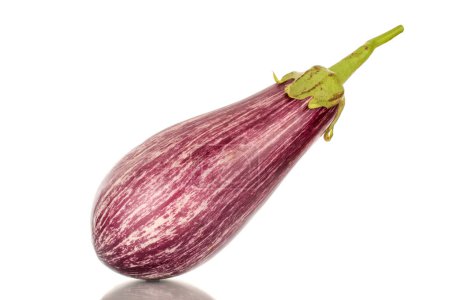 Photo for One organic ripe eggplant, macro, isolated on white background. - Royalty Free Image