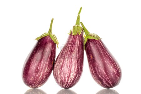Photo for Three organic ripe eggplants, macro, isolated on white background. - Royalty Free Image