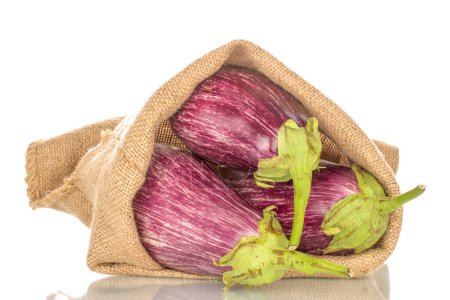 Photo for Three organic ripe eggplants in a jute bag, macro, isolated on white background. - Royalty Free Image