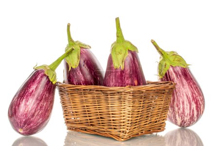 Photo for Four organic ripe eggplants in a basket, macro, isolated on white background. - Royalty Free Image