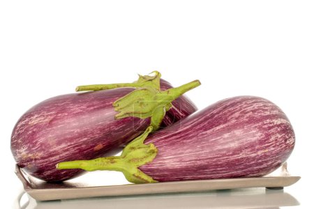 Photo for Three organic ripe eggplants with metal tray, macro, isolated on white background. - Royalty Free Image