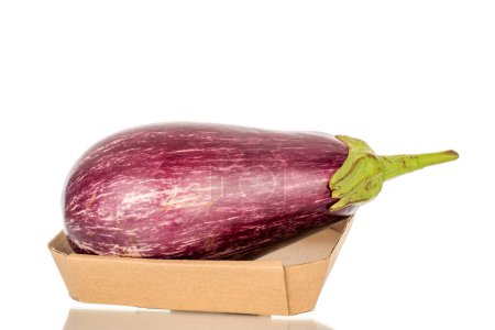 Photo for One juicy eggplant in a paper plate, macro, isolated on white background. - Royalty Free Image