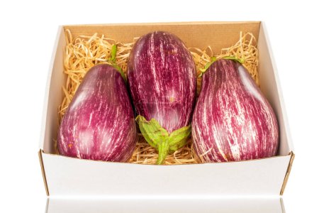 Photo for Three organic ripe eggplants in a paper box with wood shavings, macro, isolated on white background. - Royalty Free Image