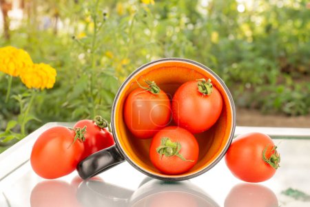 Foto de Varios tomates de cóctel maduros con taza de cerámica, macro, en el fondo del jardín - Imagen libre de derechos