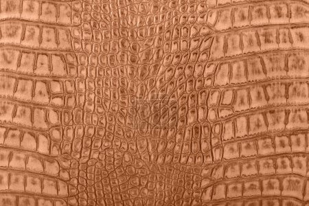 Foto de Fondo de textura de piel de cocodrilo tonificado con pelusa de melocotón color del año 2024 - Imagen libre de derechos