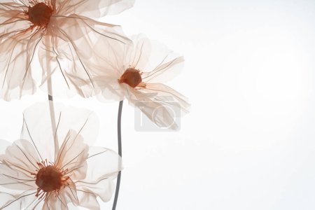 Delicate artificial flowers for a photo studio on a light background. Soft peach color. Space for text.