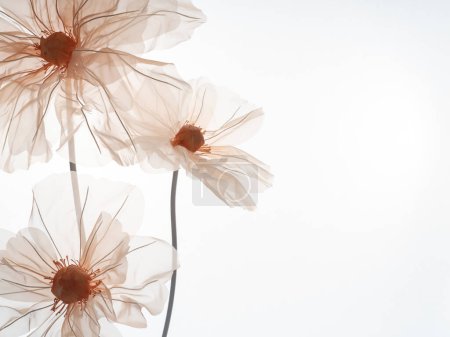Photo for Delicate artificial flowers for a photo studio on a light background. Soft peach color. Space for text. - Royalty Free Image